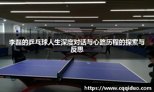 李磊的乒乓球人生深度对话与心路历程的探索与反思